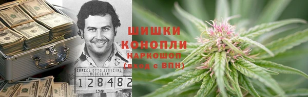 сатива Осташков