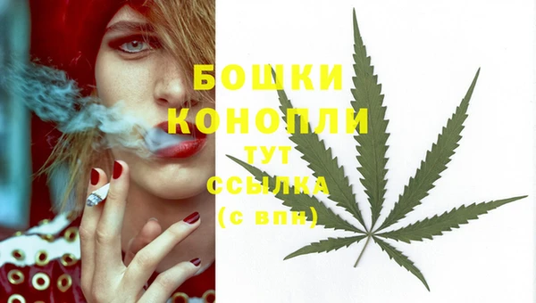 МДПВ Няндома