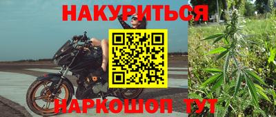 дживик Кингисепп