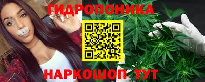 дживик Кингисепп