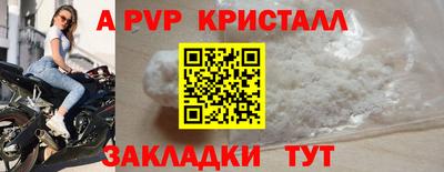 дживик Кингисепп
