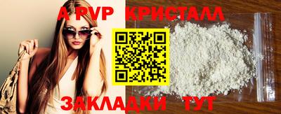 дживик Кингисепп