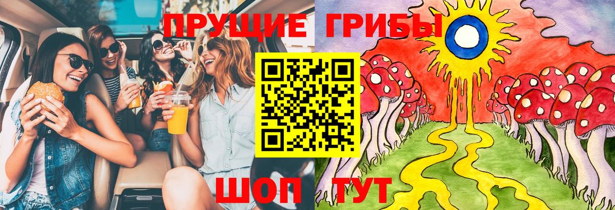 Галлюциногенные грибы мухоморы  Галлюциногенные грибы Psilocybine cubensis  Моздок 