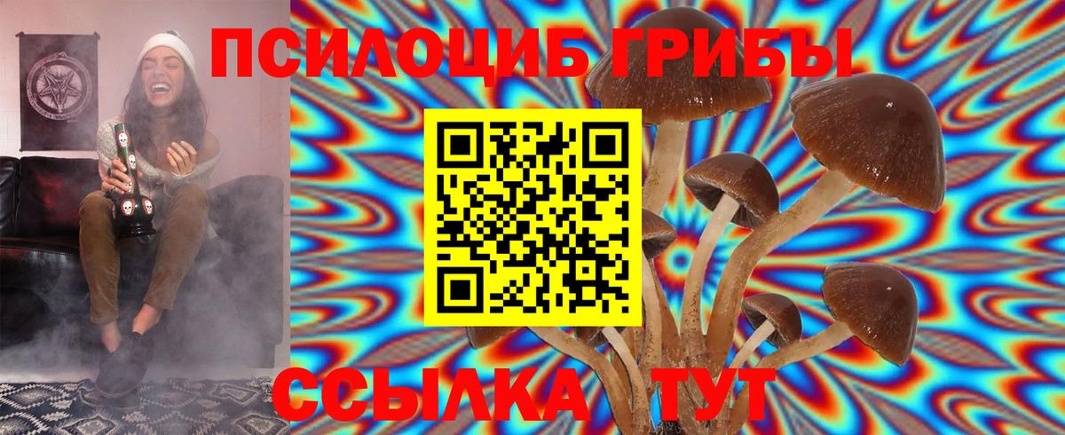 Псилоцибиновые грибы Magic Shrooms  Вход с VPN  Моздок 