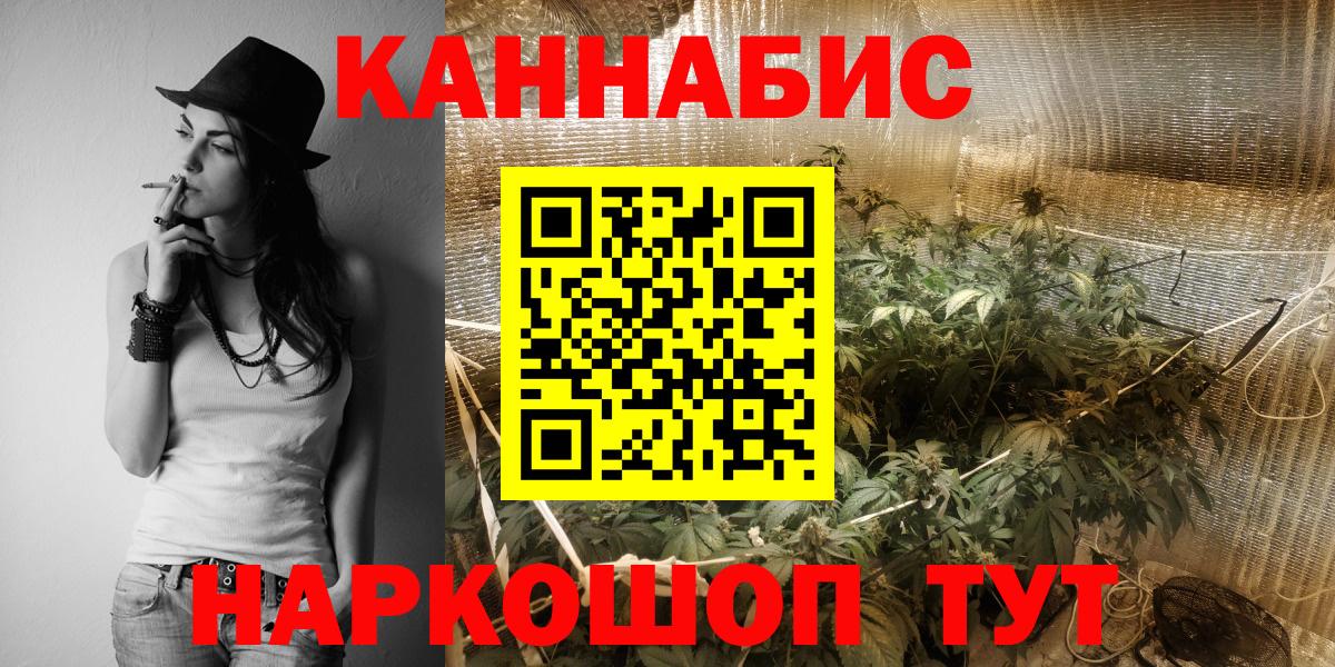 Каннабис сатива Моздок